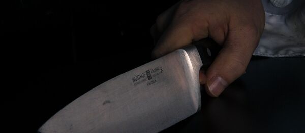 Uma faca - Sputnik Brasil
