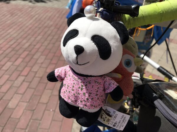 Todos os detalhes da sua bicicleta têm algum significado Todos os detalhes da sua bicicleta têm algum significado - Sputnik Brasil