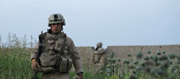 Soldado norte-americano no campo de papoilas no Afeganistão - Sputnik Brasil