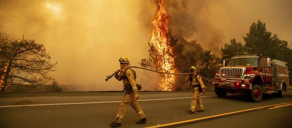 Bombeiros durante extinção de incêndios florestais na região de Clearlake Oaks, Califórnia - Sputnik Brasil