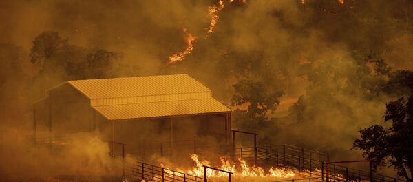 Incêndio florestal em Guinda, Califórnia (arquivo) - Sputnik Brasil
