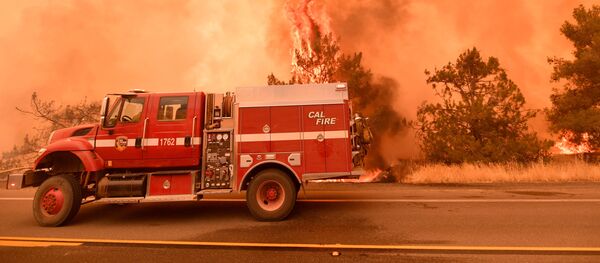 Bombeiros tentando estabelecer controle sobre incêndio florestal, Califórnia - Sputnik Brasil