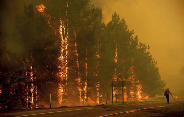 Bombeiro durante extinção de incêndios florestais, Califórnia - Sputnik Brasil