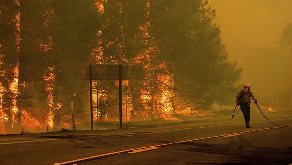 Bombeiro durante extinção de incêndios florestais, Califórnia - Sputnik Brasil