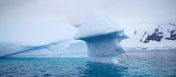 Um iceberg flutua perto da Ilha Danco, Antártica. - Sputnik Brasil