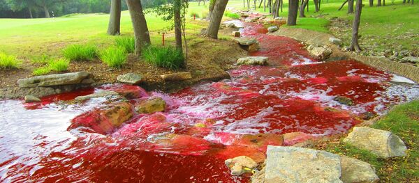 Rio vermelho com a tonalidade de sangue (imagem ilustrativa) - Sputnik Brasil