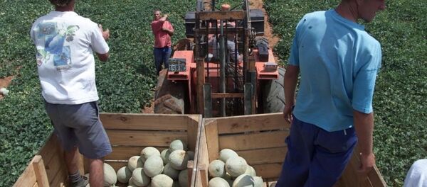 Bôeres - Sputnik Brasil