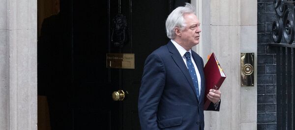 Secretário de Estado da Grã-Bretanha para a saída da União Europeia, David Davis. - Sputnik Brasil
