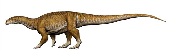 Imagem referencial do dinossauro Ingentia prima do fim do Triássico Imagem referencial do dinossauro Ingentia prima do fim do Triássico - Sputnik Brasil