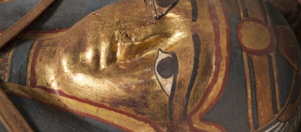 Múmia do Egito Múmia do Egito - Sputnik Brasil