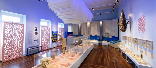 Exposição “Expedição Coral: 1865-2018” do Museu Nacional - Sputnik Brasil