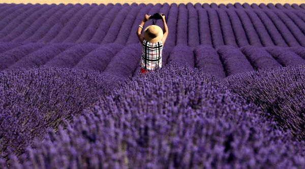 Turista chinês tirando foto em um campo de lavanda, França. - Sputnik Brasil