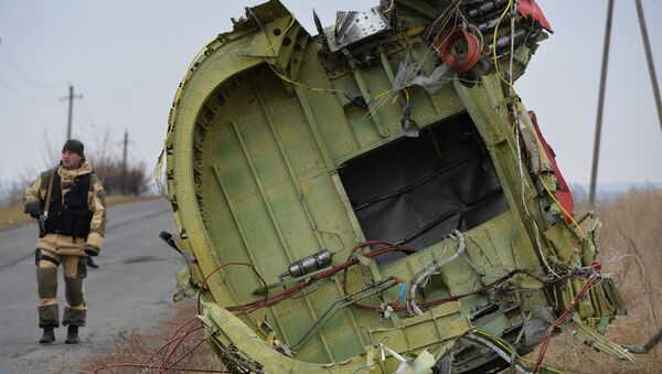 Local da queda do MH17 derrubado na Ucrânia. - Sputnik Brasil