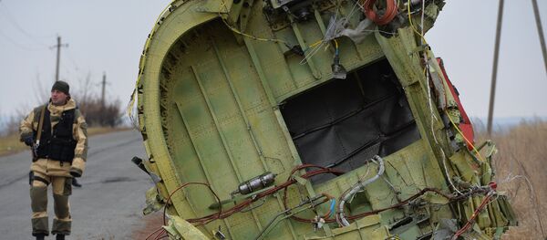 Local da queda do MH17 derrubado na Ucrânia. - Sputnik Brasil
