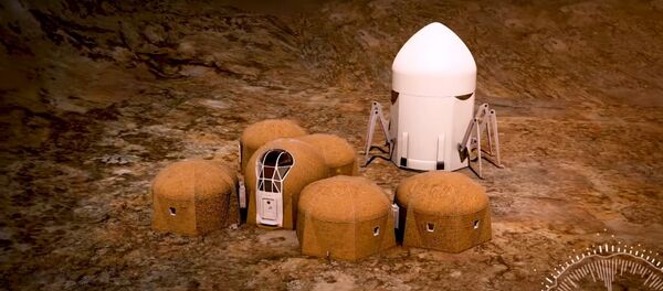 Equipe Zopherus - Fase 3: Nível 1 do Desafio Hda NASA - Sputnik Brasil