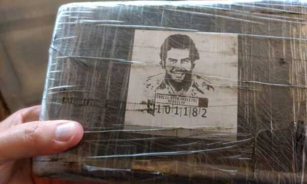 Colômbia cumprirá meta de erradicação da coca em 2020, diz ministro da Defesa Colômbia cumprirá meta de erradicação da coca em 2020, diz ministro da Defesa - Sputnik Brasil