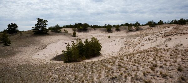 Dunas na ilha de Tyho Bolshoi no Golfo da Finlândia. - Sputnik Brasil