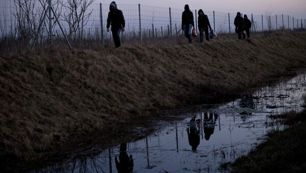Imigrantes afegãos caminham até a fronteira sérvia com a Hungria, perto de Hajdukovo, a 150 quilômetros ao norte de Belgrado, Sérvia - Sputnik Brasil