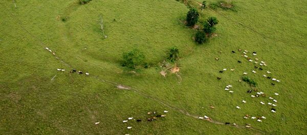 Descoberta de novos geoglifos no Acre - Sputnik Brasil