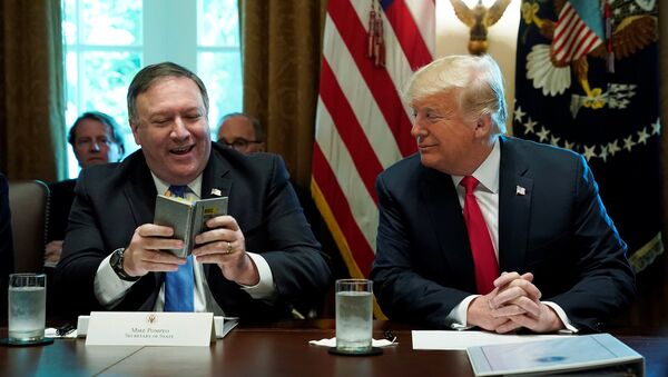 O Secretário de Estado, Mike Pompeo, ao lado do presidente dos EUA, Donald Trump durante reunião de gabinete em Washington (agosto de 2018) - Sputnik Brasil