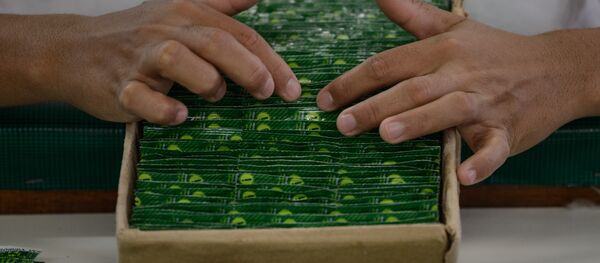 Preservativos - Sputnik Brasil