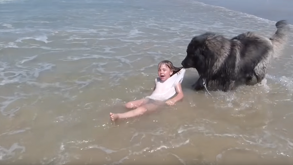 Cachorro arrasta menina para fora da água tentando protegê-la das ondas - Sputnik Brasil