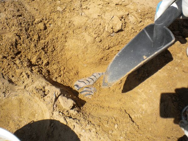 Crucifixo milenar de herói espanhol é finalmente descoberto - Sputnik Brasil