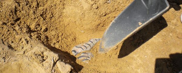 Arqueologia - Sputnik Brasil