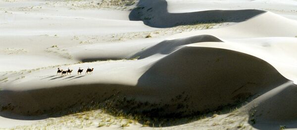 O deserto de Gobi, Mongólia - Sputnik Brasil