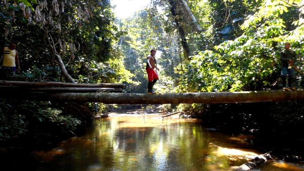 Expedição da Funai constata evidências de índios isolados e inibe a presença de infratores nas terras indígenas Vale do Javari e Mawetek - Sputnik Brasil