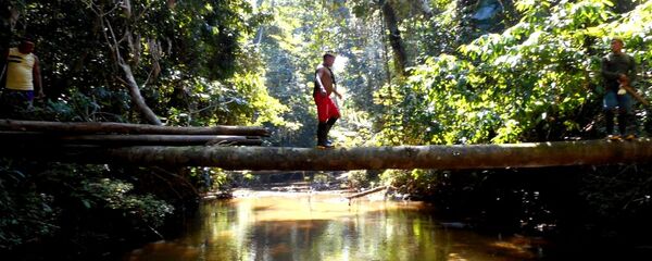 Expedição da Funai constata evidências de índios isolados e inibe a presença de infratores nas terras indígenas Vale do Javari e Mawetek - Sputnik Brasil