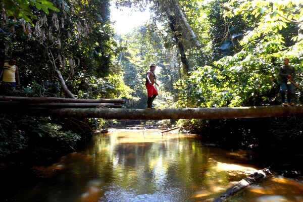 Expedição da Funai constata evidências de índios isolados e inibe a presença de infratores nas terras indígenas Vale do Javari e Mawetek - Sputnik Brasil