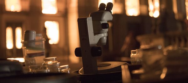 Itens salvos do Museu Nacional são armazenados em frente ao edifício em chamas - Sputnik Brasil