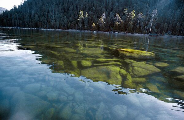 Reserva Natural Barguzin, onde se conserva a taiga e paisagens montanhosas incríveis, localizada no lago Baikal (Sibéria), o maior lago de água doce do planeta - Sputnik Brasil