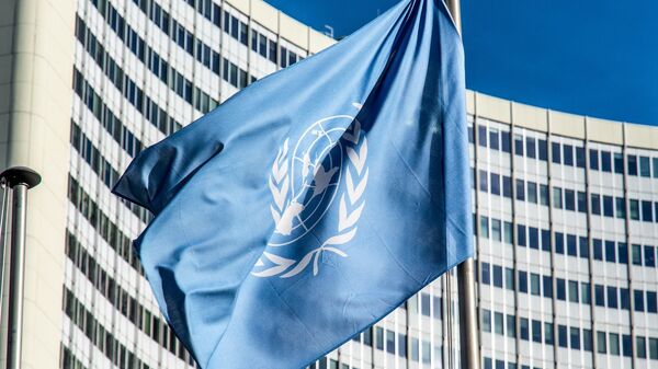 Bandeira da Organização das Nações Unidas (ONU) (foto de arquivo) - Sputnik Brasil
