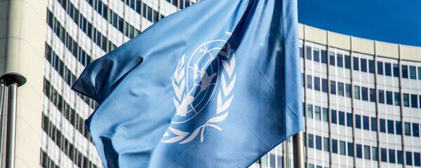 Bandeira da ONU - Sputnik Brasil