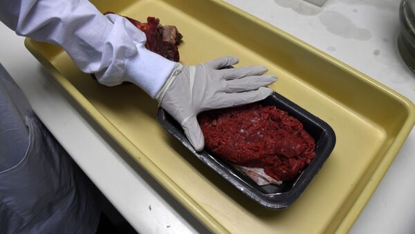 Especialistas efetuam inspeção das carnes obtidos em mercados cariocas, em 2017 (foto de arquivo) - Sputnik Brasil