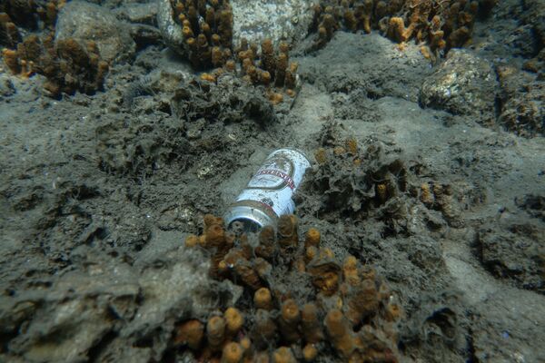 Lata de cerveja polui o habitat de criaturas marinhas perto da ilha de Tasos - Sputnik Brasil