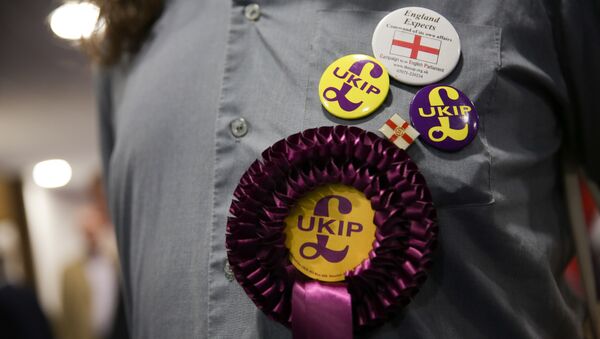 Um apoiador do Partido da Independência do Reino Unido (UKIP), contrário à União Europeia, usa uma rossete e um distintivo na Conferência de Outono do UKIP em Bournemouth, na costa sul da Inglaterra. - Sputnik Brasil