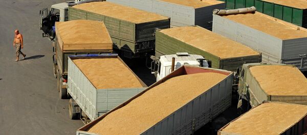 Grain terminal in the port of Novorossiysk - Sputnik Brasil