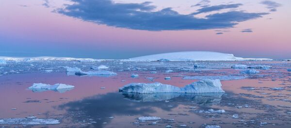 Mar de Weddell, na Antártida - Sputnik Brasil