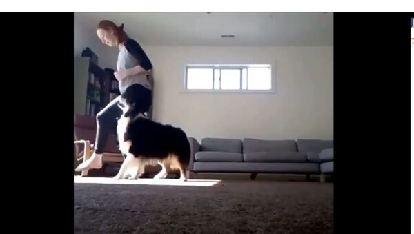 Menina ensaia passos de dança com seu cachorro - Sputnik Brasil