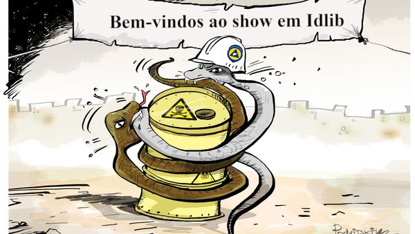 Show acabará quando todas as cobras na Síria comerem umas às outras - Sputnik Brasil