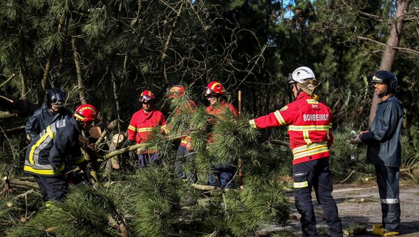 Bombeiros tentam remover árvores caídas após a passagem do furacão Leslie pela cidade costeira portuguesa de Figueira da Foz, em 14 de outubro de 2018 - Sputnik Brasil