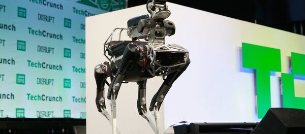 Robô cachorro da Boston Dynamics Robô cachorro da Boston Dynamics - Sputnik Brasil