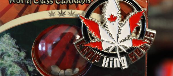 Um broche promovendo a empresa Crop King Seeds com as cores da bandeira canadense sobre um pacote de sementes de maconha, à venda em Vancouver, Canadá. - Sputnik Brasil