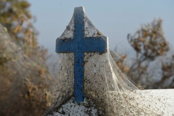 Teia de aranha cobre cruz perto do lago Vistonida, norte da Grécia - Sputnik Brasil