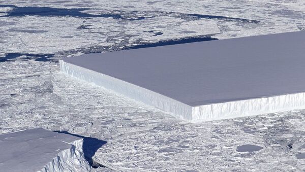 Iceberg de forma retangular descoberto na Antártida por cientistas da NASA - Sputnik Brasil
