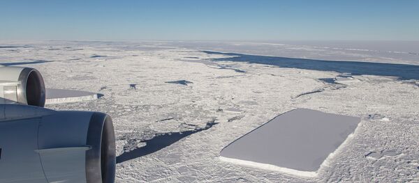 Iceberg retangular na Antártida Iceberg retangular na Antártida - Sputnik Brasil
