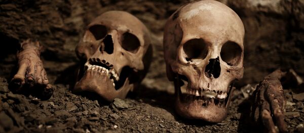 Crânios humanos - Sputnik Brasil